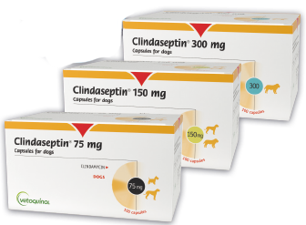 Clindaseptin