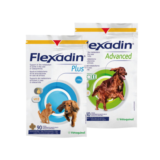 Flexadin (Advance y PLUS)