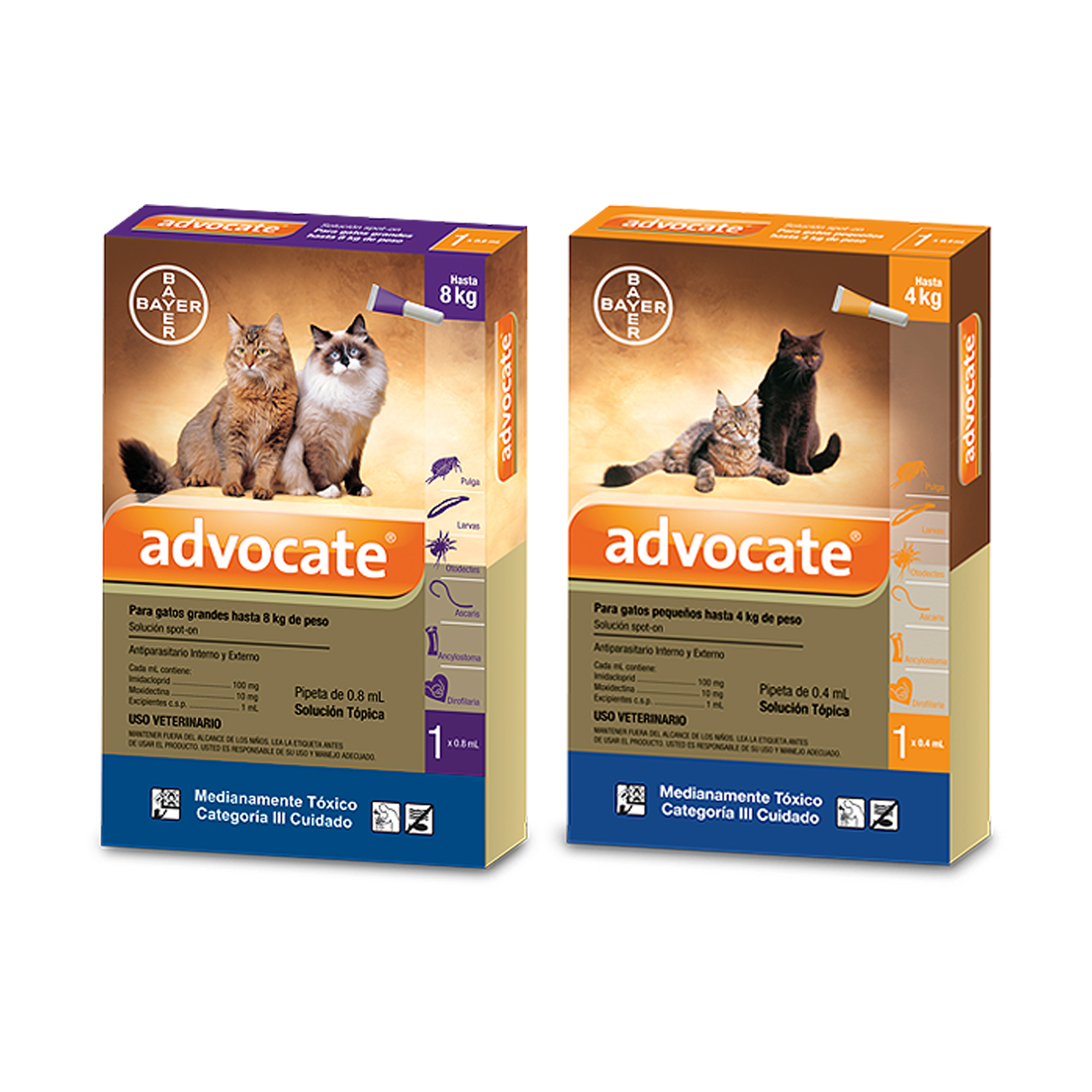 ADVOCATE Y | PetsWorld