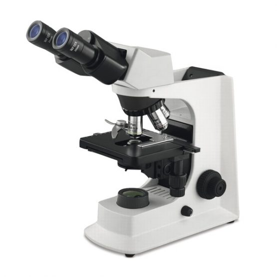 Microscopio, Eickemeyer